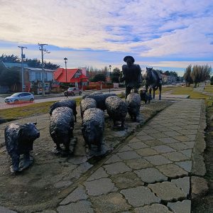 City Tour 3 horas Punta Arenas